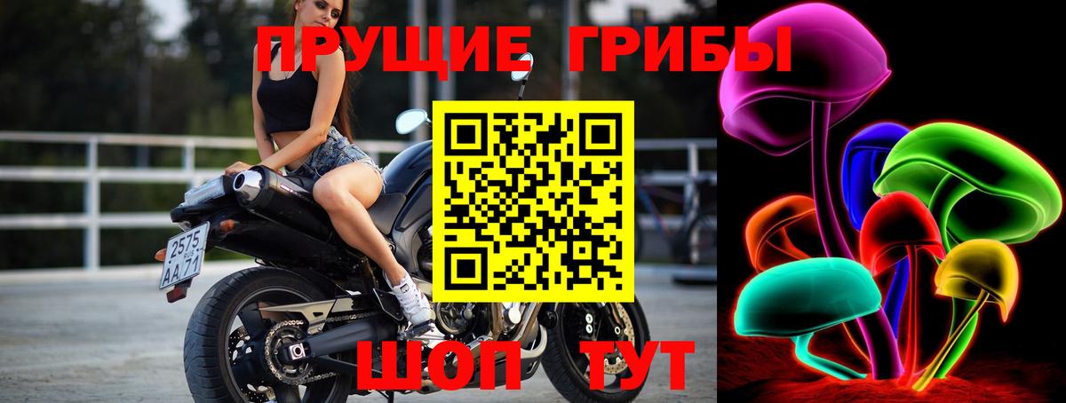 Галлюциногенные грибы Psilocybine cubensis  Вход с VPN  Пыть-Ях  Псилоцибиновые грибы Cubensis 